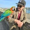 MACAW PARROT FOR SALE HOME