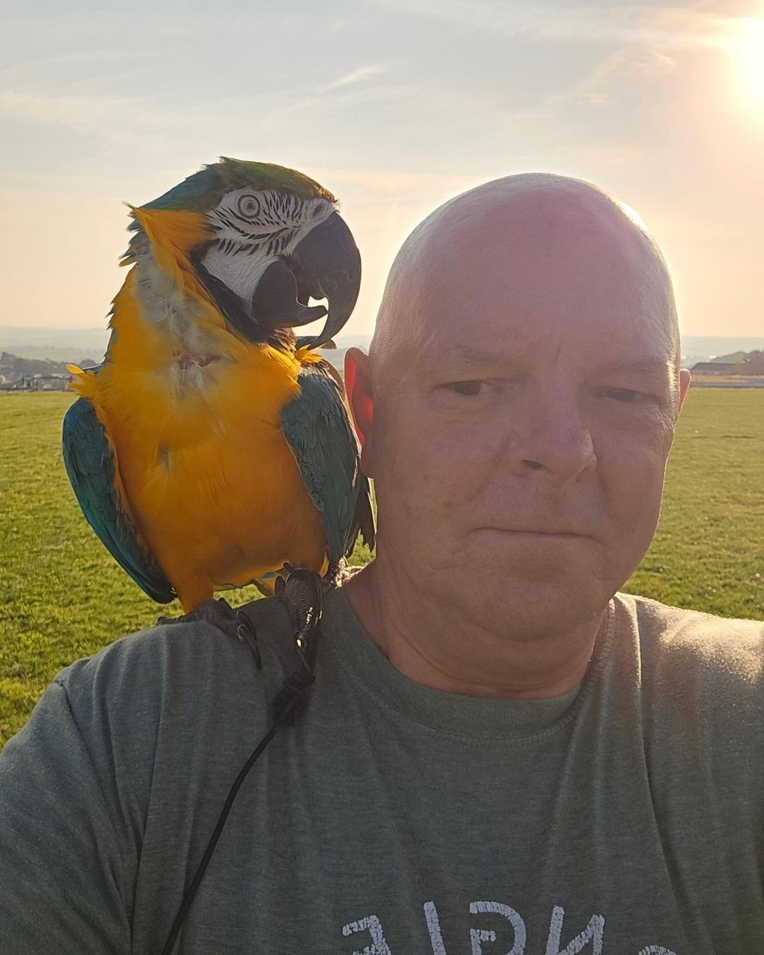 Do macaws need regular nail trimming