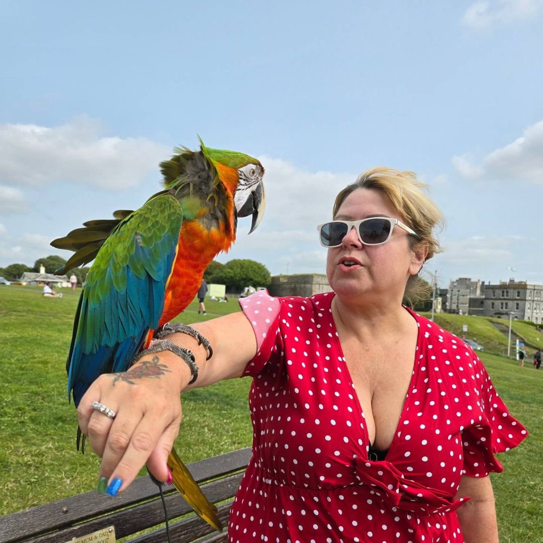 How do macaws show affection