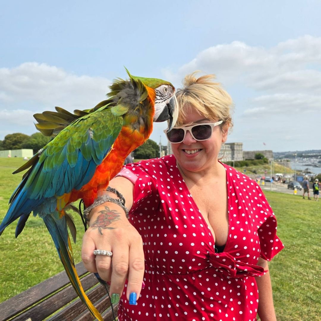 Can macaws learn tricks